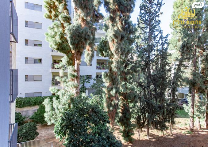 דירה, מרכז, כפר סבא