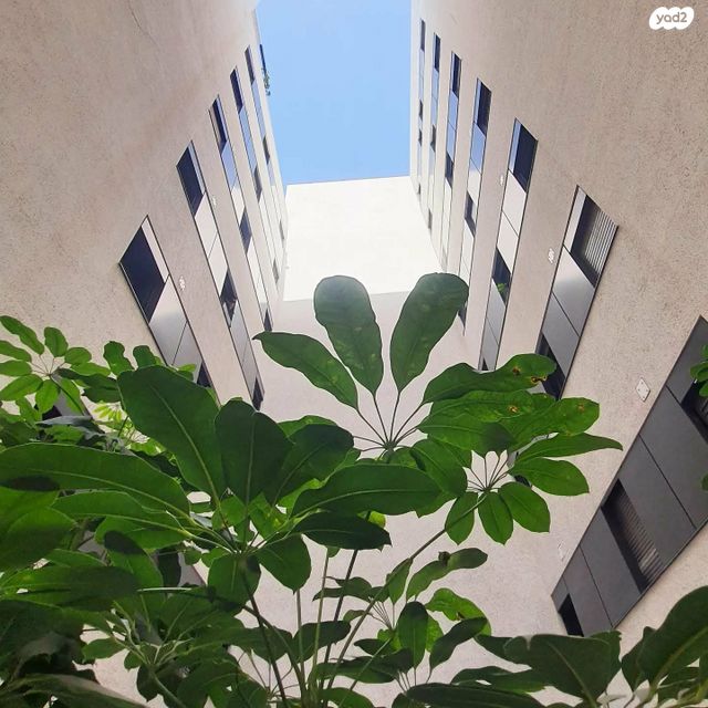 דירה, חזנוביץ', נווה שאנן, תל אביב יפו