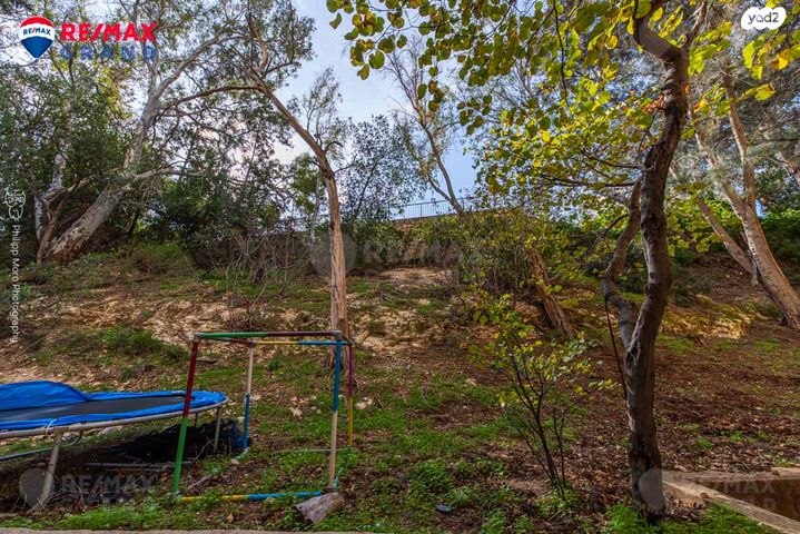 דירה, הפרחים 11, רמת בן גוריון, חיפה