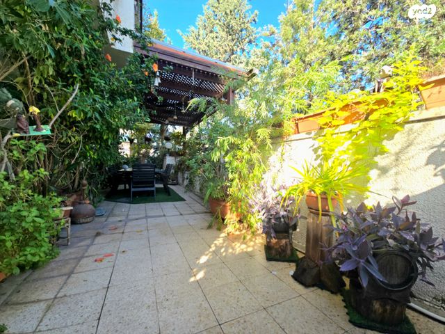 דירה, רעננה