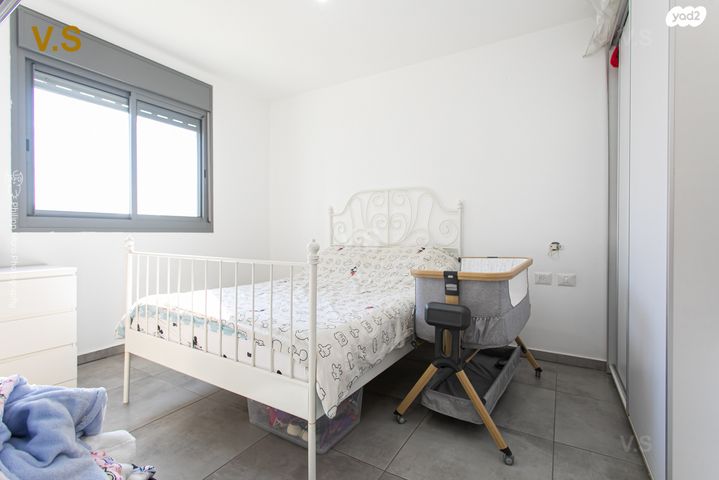 דירה, הגל, החותרים, טירת כרמל