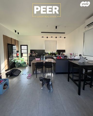 גג/ פנטהאוז, עצמון, נווה צדק, תל אביב יפו