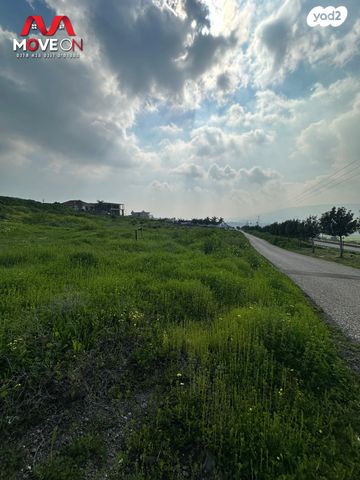 מגרשים, פוריה עילית