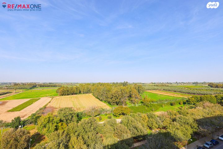 שלמה וחיה אנגל 