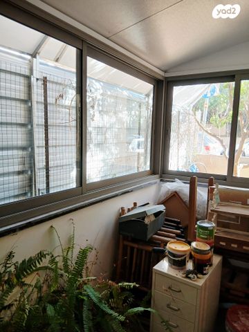 דירה, הדסה, הצפון הישן - צפון, תל אביב יפו