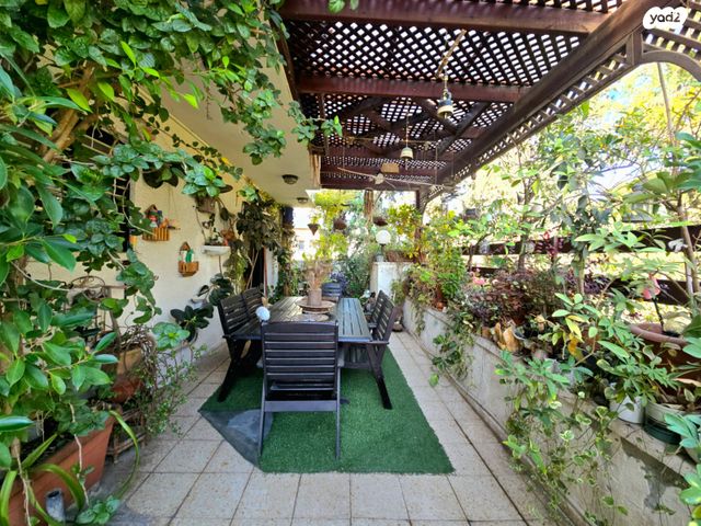 דירה, רעננה