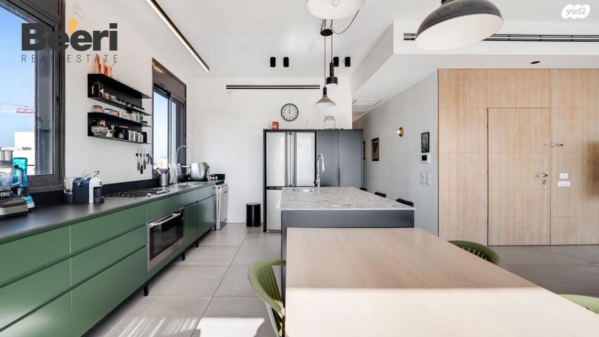 גג/ פנטהאוז, איינשטיין 21, אזור הבילויים, רמת גן