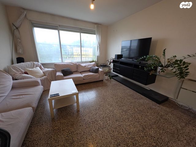 דירה, אד"ם הכהן, זיו, חיפה