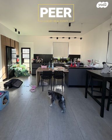 גג/ פנטהאוז, עצמון, נווה צדק, תל אביב יפו