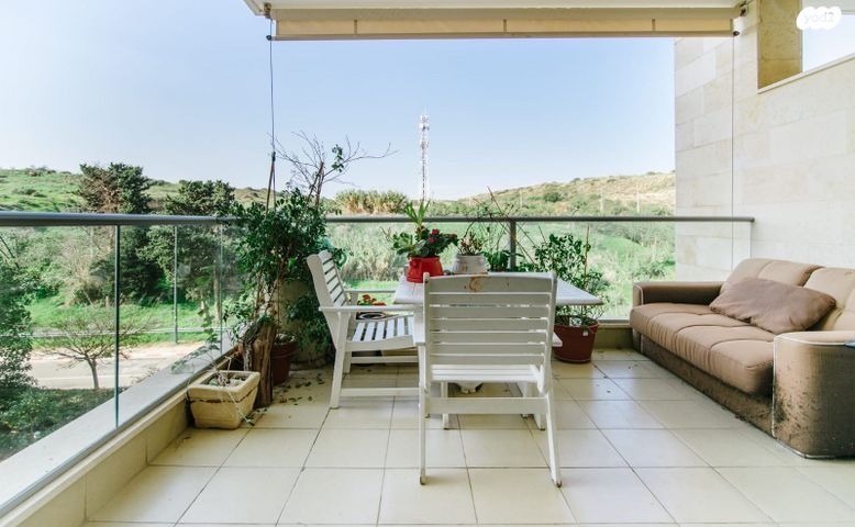 דירה, משה לרר, ארגמן, נס ציונה