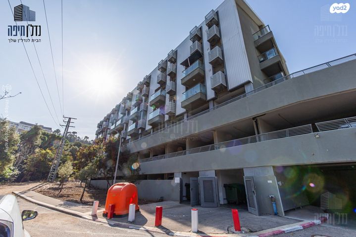 אריה לובה אליאב 