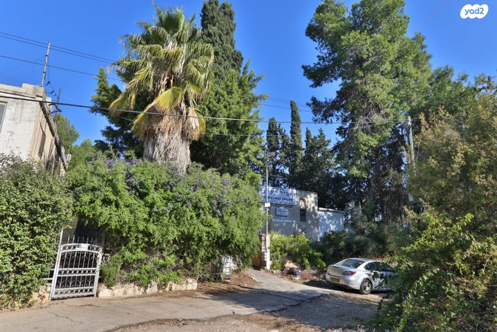 דירת גן, חנה סנש, קרית אתא