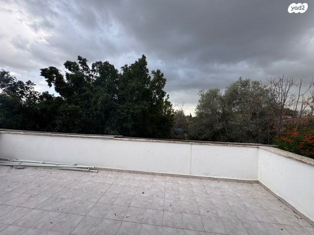 דירה, אושיות, רחובות