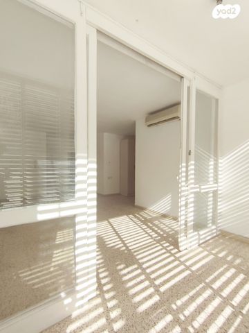 דירה, טרכטנברג, אברמוביץ', ראשון לציון