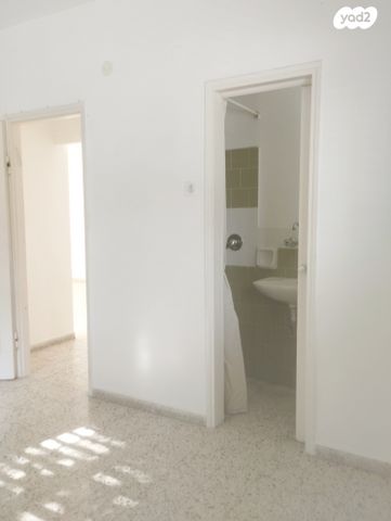 דירה, טרכטנברג, אברמוביץ', ראשון לציון