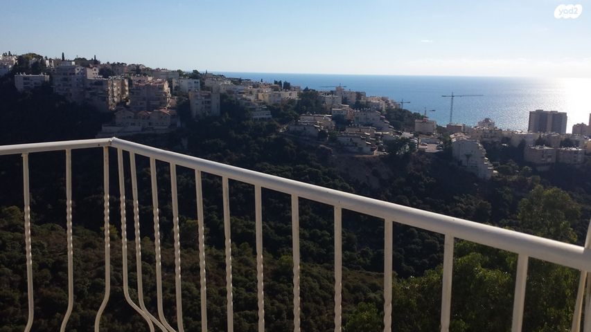 דירה, בית לחם, כרמל צרפתי, חיפה