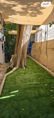 דירה, הלל, מסדה, חיפה