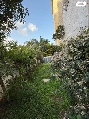 דירת גן, שושנת העמקים, רמת אמיר, קדימה צורן