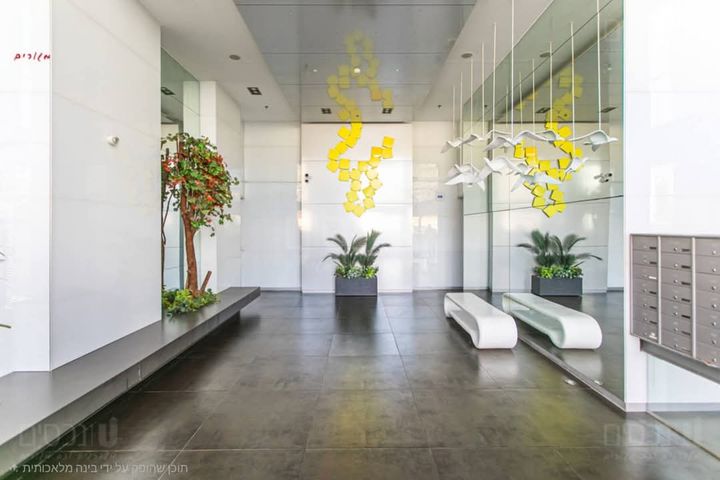 דירה, אלמוג, רמת חביב / רמת הנשיא, חיפה