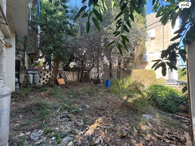 דירה, הלל, מסדה, חיפה