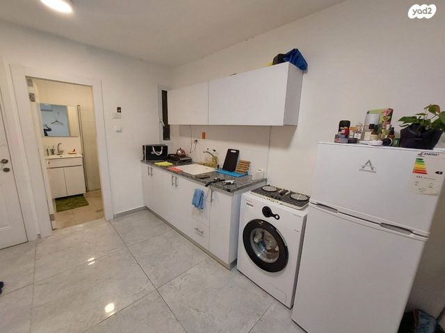 יצחק בן צבי 12