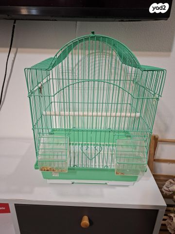 תמונת מודעה - חיות מחמד