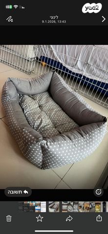 תמונת מודעה - חיות מחמד