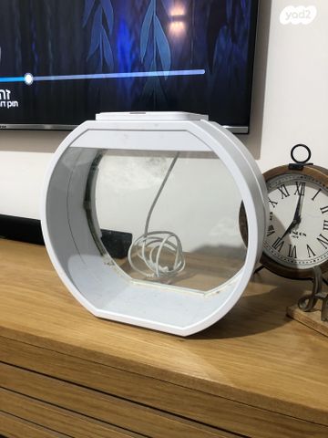 תמונת מודעה - חיות מחמד