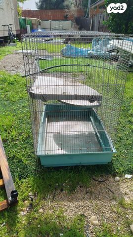 תמונת מודעה - חיות מחמד