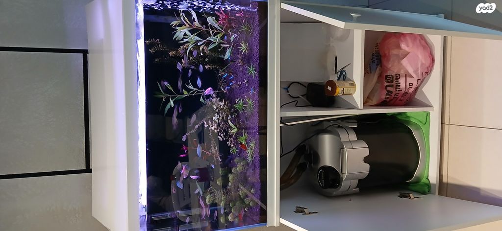 תמונת מודעה - חיות מחמד