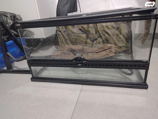 תמונת מודעה - חיות מחמד