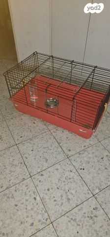 תמונת מודעה - חיות מחמד