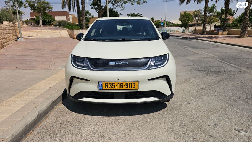 בי.ווי.די דולפין