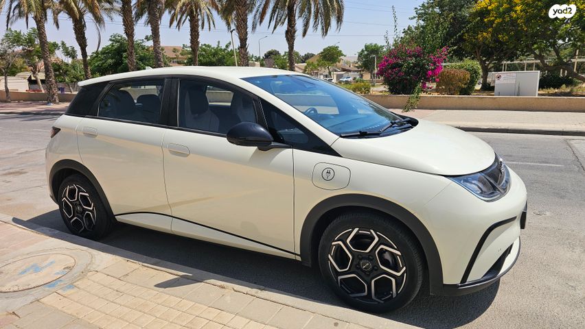 בי.ווי.די דולפין