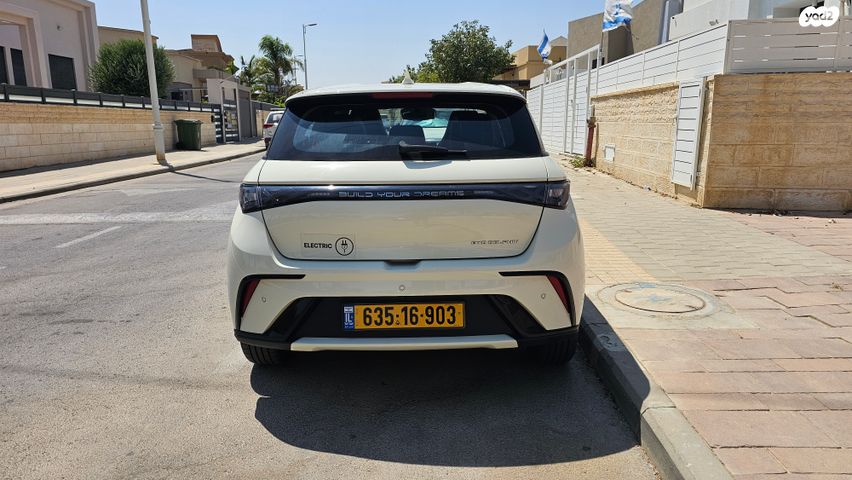 בי.ווי.די דולפין