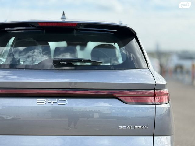 בי.ווי.די סי ליון 05