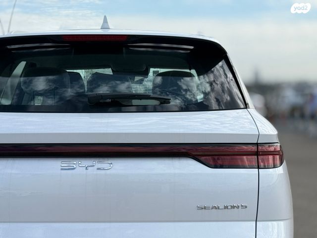 בי.ווי.די סי ליון 05