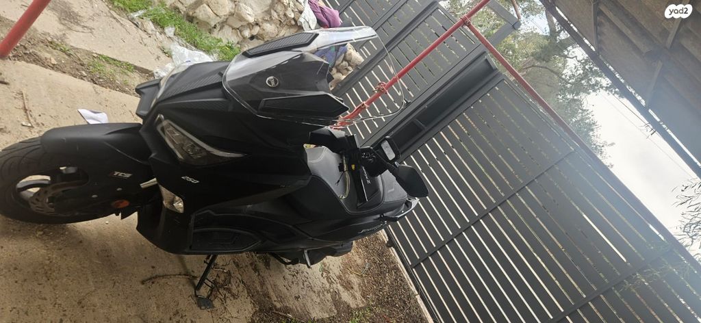 סאן יאנג ג'וי-מקס Z-250