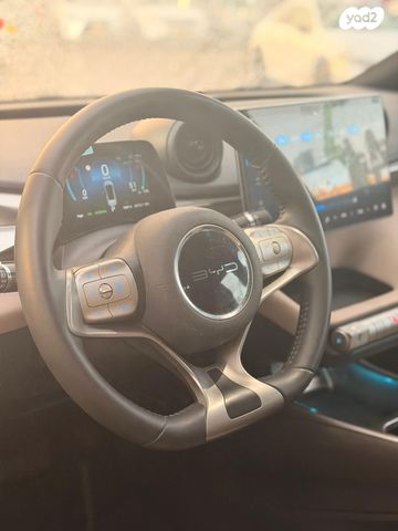 בי.ווי.די דולפין