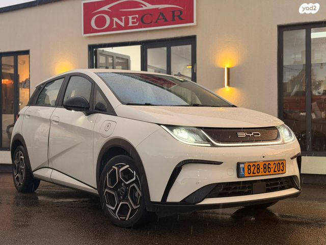 מודעת רכב בי.ווי.די דולפין