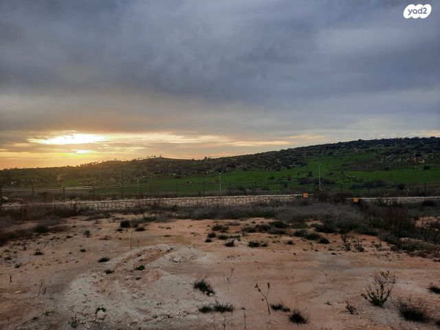 שדרות נווה דקלים 1