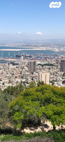 שדרות וינגייט 26