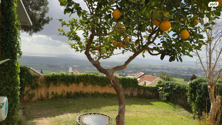 דירת גן, נורית 5, נווה יוסף, עפולה