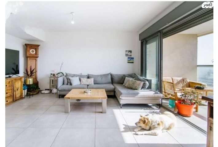 חיים הרצוג 15