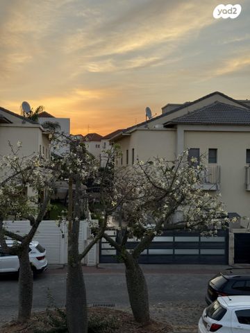 יעקב זטוצקי 6