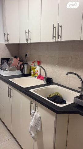 זלמן שז"ר 217