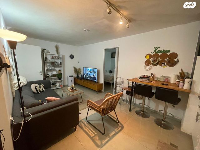 אריות הגולן 53