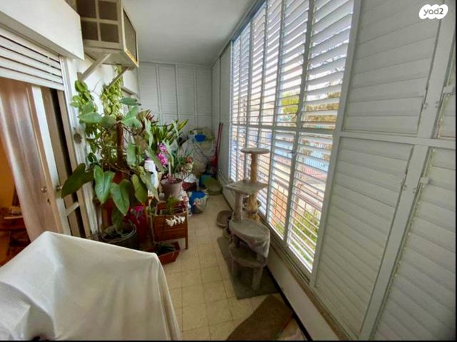 דרך בן גוריון 255