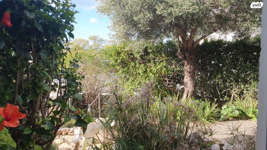 יחידת דיור, שלונסקי 40, הוד הכרמל, דניה, חיפה