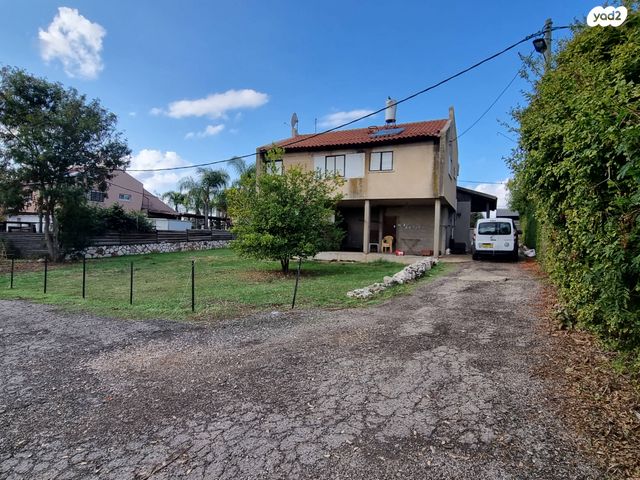 דרך אבוקדו 1